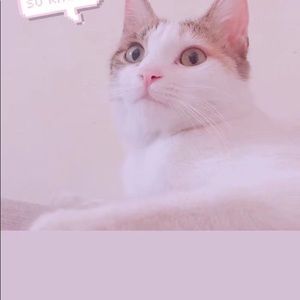 Meet your Posher, Kaiqi